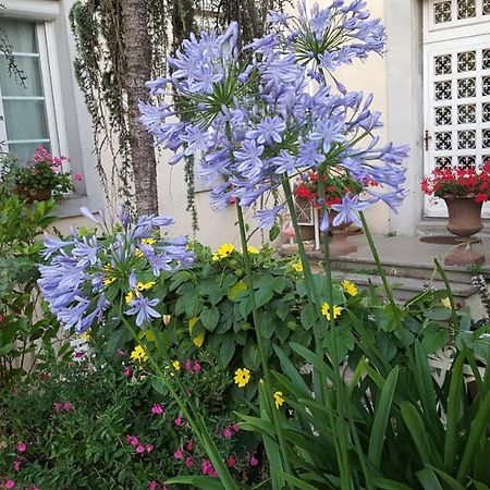 La Belle Vie B&B Montréal Zewnętrze zdjęcie