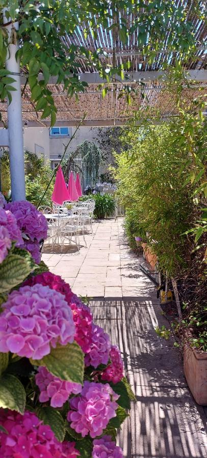 La Belle Vie B&B Montréal Zewnętrze zdjęcie